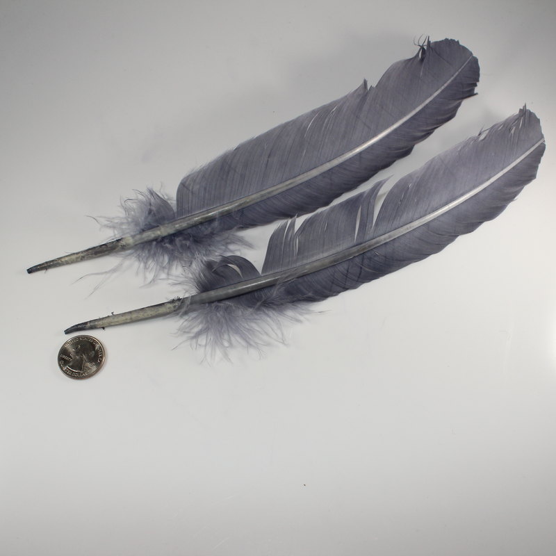 Feathers